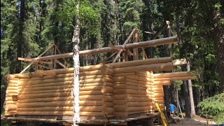 Off Grid Cabin Build In Alaskas Remote Wilderness 16 yrs in the making [upl. by Eceer236]