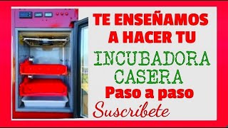 Cómo hacer Incubadoras caseras [upl. by Keelin]