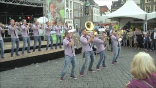 The Radios  Im Into Folk Covered by De FliereFluiters  Den Bosch 2016 [upl. by Gunas253]