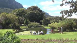 Kirstenbosch Botanical Gardens in Cape Town South Africa [upl. by Marin107]