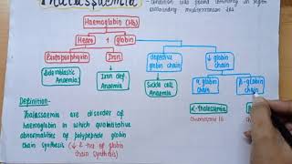 Thalassemia  Alpha amp Beta thalassemia  Patho  Define Type Pathogenesis Diagnosis  part 1 [upl. by Aiuqat262]