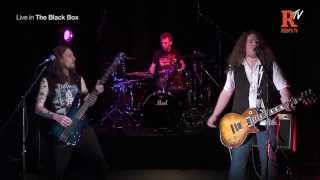 Shadow Play  The Ballroom Blitz Live in The Black Box [upl. by Marasco]