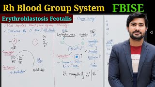 Rh blood group system  Erythroblastosis feotalis  FBISE [upl. by Ellirpa838]