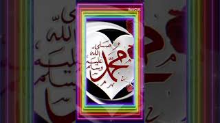 Allah hu akbar muhmmadﷺ shortfeed love [upl. by Nimsay]