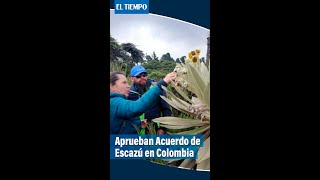 Aprueban Acuerdo de Escazú en Colombia  El Tiempo [upl. by Adnohsed]