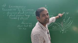 characteristics of wind  Insect  water pollinated flowers sexual reproduction in flowering plants [upl. by Towrey]