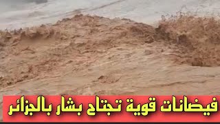 فيضانات قوية تجتاح ولاية بشار بالجزائر شاهد السيول الجارفة ⛈️⛈️⛈️⛈️ [upl. by Alena]