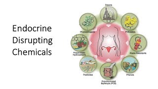 Endocrine disrupting chemicals EDCs a threat to humanity [upl. by Darrill]