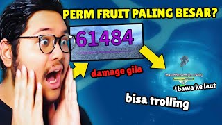 AKU DAPET BUAH PERMANEN PALING BESAR DI BLOX FRUIT [upl. by Nestor423]