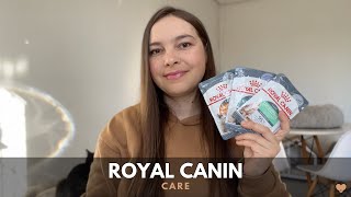 Experimentamos os novos sachês Royal Canin Care  Leticia MdO [upl. by Larkins]