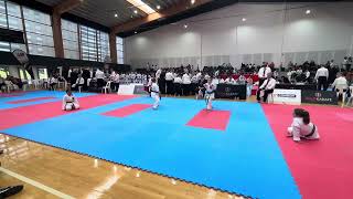 GKR Karate World Cup  Kata Round 4 [upl. by Oiramal]