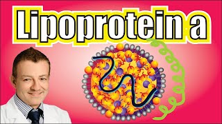 The Deadliest LDL Lipoprotein a Explained [upl. by Winthrop]