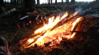 Wild camping Dartmoor Bushcraft Fernworthy [upl. by Klepac]