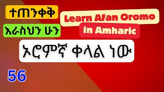 Oromo language to Amharic እየተዝናኑ ይማሩ fikremartube1221 education [upl. by Nahtanaoj]