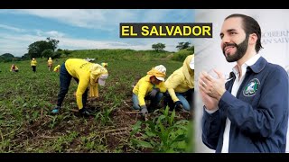 PREGUNTAS Y RESPUESTAS DEL EXAMEN TEORICO DE MANEJO 2023LICENCIA DE CONDUCIR EN ESPAÑOL [upl. by Aldredge]