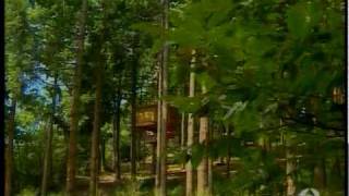 Cabañas en los arboles  Antena3 Noticias 21072009 avi [upl. by Lorie]