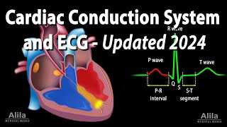 Cardiac Conduction System and Understanding ECGEKG  Updated 2024 Animation [upl. by Zaneski]