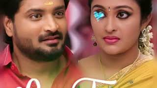 🎧Saravanan Meenakshi title bgm🎧 [upl. by Gobert520]