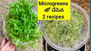 ఒక్కసారి ఈ పొడి వేసి moong dal Micro greens rice చేస్తే మళ్లీ మళ్ళీ చేసుకుంటారు [upl. by Ahsinyar276]