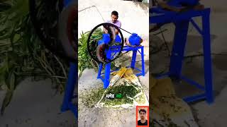 Chaff cutter machine for dairy farm l chaff cutter machine shorts agriculture chaffcuuter [upl. by Edyth]