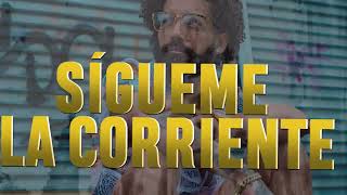 Pal Problema Lyric video  JEii Dalereplay [upl. by Cote773]