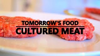 TOMORROWS FOOD CULTURED MEAT [upl. by Korney]