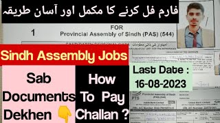 How To Fill Sindh Assembly Jobs Application Form How To Fill PTS Form How To Pay PTS Challan [upl. by Akema677]