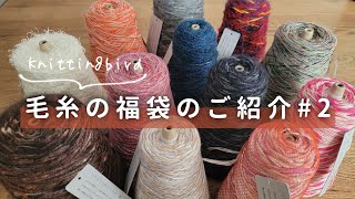 【購入品紹介】引き揃え毛糸の福箱開封〜！【Knittingbird】 [upl. by Gnap]