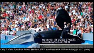 BBC Interview with Blackfish cast member JV Regarding Death of Tilikum [upl. by Melessa]