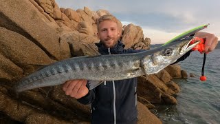 SPINNING INSHORE  Caccia ai grossi barracuda autunnali  Hunting for big autumn barracudas [upl. by Cyndie]