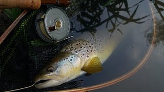 Mayfly Meadows  Fly fishing from the banks of a small English river [upl. by Nyrmac999]