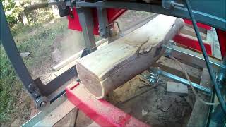 Milling dry Osage Orange on MechMaxx 26quot sawmill [upl. by Poll606]