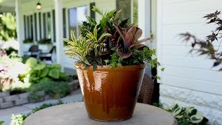 A New Houseplant Arrangement for My InLaws 🌿 Garden Answer [upl. by Ayhay]