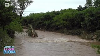 Maltempo esonda fiume nel Padovano case isolate  La Volta Buona 17052024 [upl. by Oiruam]