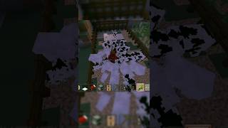 FEEDING THE COWS AND SHEEPS 🐄shorts minecraft [upl. by Arahat369]