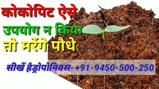 ऐसे करें कोकोपिट इस्तेमाल Use Cocopeat by this way [upl. by Kasper]