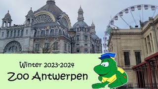 Zoo Antwerpen winter 20232024 [upl. by Etirugram]