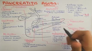 Pancreatitis causas fisiopatología clínica diagnóstico y tratamiento [upl. by Htes]