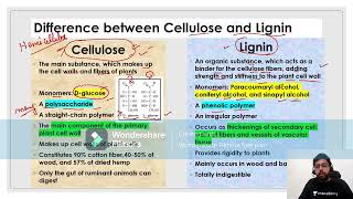 Cellulose vs Lignin [upl. by Rozamond935]