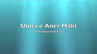 Shota Anes Malit [upl. by Oicnaneb]