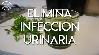 Cura la Infección Urinaria con este poderoso remedio y cómo tomarlo [upl. by Cailean18]