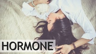 Die verrückte Welt der HORMONE ♥ [upl. by Ahseym]