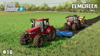 Harvesting Oilseed Radish amp Drilling Corn  10 Elmcreek  Farming Simulator 22 [upl. by Mohammed]