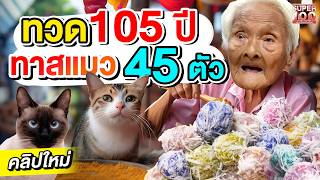 น่ารักไม่ไหว ความฝันของทวด 105 ปี ขอทุนซื้อข้าวเลี้ยงแมว ยายสงวน ก๋วยเตี๋ยว 5 แผ่นดิน  SUPER100 [upl. by Lettie343]