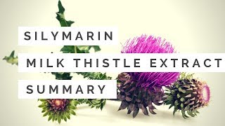 Milk thistle extractssilymarinsilibinSilybum marianum benefitsfunctionsproduction 2018 Organic [upl. by Mcclimans]