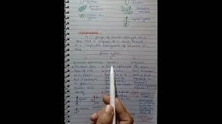 Inflorescence  Racemose Cymose And Compound Inflorescence  In Urdu Hindi Class 11 [upl. by Yardna]