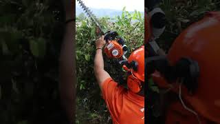 Increíble Cortasetos Stihl HS 45 shorts [upl. by Ikcir786]