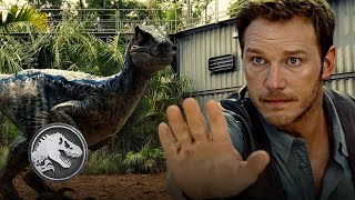 Jurassic World  Ausbildung von Velociraptoren [upl. by Lorain]