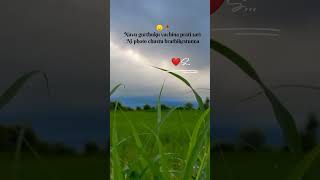 Tag your ❤️love ytshort shorts shortvideo naturelovers [upl. by Leonardi]