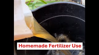 Homemade Fertilizer Use [upl. by Odrude]